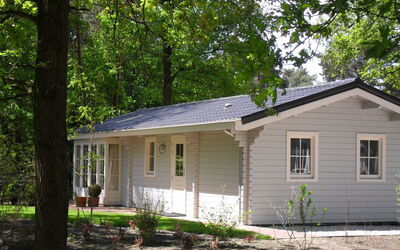 Accommodatie:&nbsp;Fins Chalet 4 301.6