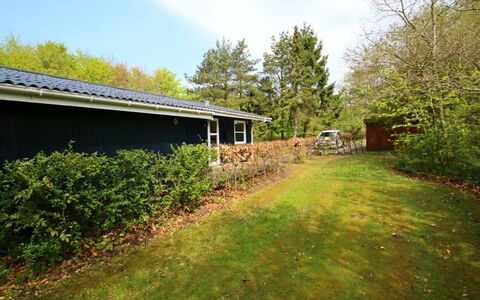 Aki - 30Km from the Sea: Gras, Struik, Huis, Huis, Verblijf, Land Lot, Tuin, Groundcover, Gazon, Backyard