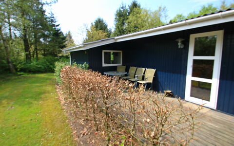 Aki - 30Km from the Sea: Struik, Verblijf, Huis, Huis, Gazon, Tuin, Siding, Werf, Backyard, Schaduw