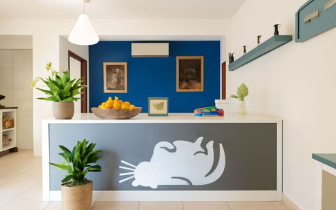 L'Oasi della Gatta Panciona: Interieur Ontwerp, Muursticker, Meubilair, Keuken, Verf, Countertop, Kamer, Cabinetry, Plafond, Ontwerp