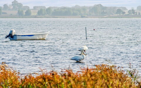 Gyrth - 20M to the Fjord: Blauw, Struik, Verblijf, Groundcover, Tuin, Landgoed, Schaduw, Landscaping, Boerderij, Eco Hotel