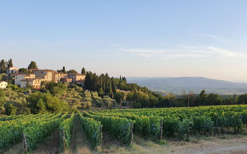 Il Nespolo Charming Apartment Fonterutoli - Siena,: Lucht, Fabriek, Gebouw, Natuurlijk Landschap, Wolk, Boom, Landschap, Horizon, Plain, Landbouw