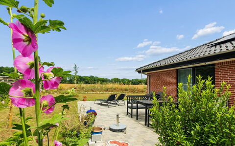 Helmi - 1Km from the Sea: Tuin, Verblijf, Gazon, Landscaping, Kruidachtige Plant, Werf, Boerderij, Garden Gebouwen, Backyard, Schuur
