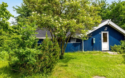 Alrun - 150M from the Sea: Struik, Tuin, Verblijf, De Lente, Gazon, Schaduw, Werf, Landscaping, Backyard, Boerderij