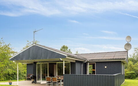 Sunaj: Dak, Huis, Deur, Verblijf, Schaduw, Siding, Werf, Landgoed, Backyard