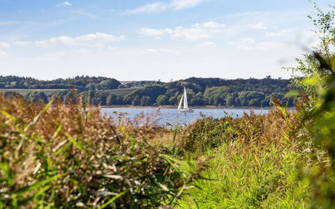Berta - 70M to the Fjord: Lucht, Blauw, Water, Groen, Gras, Natuurlijk Landschap, Vegetation, Horizon, Wolk, Grasland