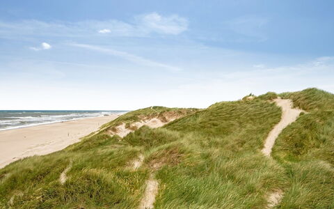 Sylwia - from the Sea: Lucht, Blauw, Natuurlijke Omgeving, Ecoregio, Horizon, Vegetation, Zomer, Landschap, Zand, Plantengemeenschap