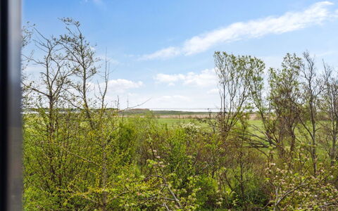 Othinkarl - 1Km from the Sea: Gras, Grasland, Landschap, Ecoregio, Plain, Plantengemeenschap, Land Lot, Buitenmeubels, Prairie, Shrubland