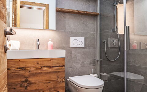 Pontresina 15: Loodgieterswerkinrichting, Badkamer, Flooring, Wc Bril, Toilet, Interieur Ontwerp, Verdieping, Wastafel, Kraan, Badkamerkast