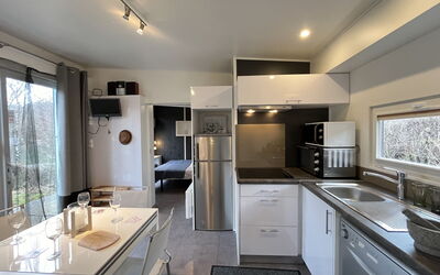 Accommodatie:&nbsp;Tiny Haus Micha 200.12