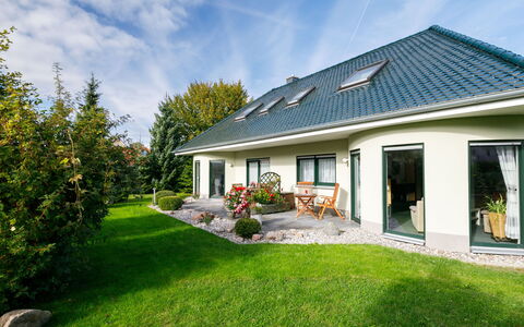 Schneider: Fabriek, Gebouw, Lucht, Wolk, Venster, Huis, Boom, Land Lot, Verblijf, Bloem