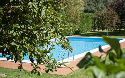 Villa Niccone: Water, Fabriek, Plantengemeenschap, Groen, Schaduw, Zwembad, Vegetation, Buitenmeubels, Zwemwater, Gras