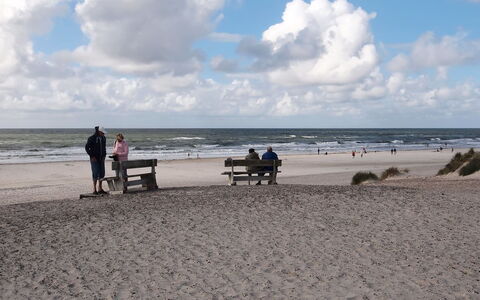 Florense - 2.5Km from the Sea: Strand, Zwemwater, Kust, Natuurlijke Omgeving, Kust, Zee, Kust En Oceanic Landvormen, Horizon, Wolk, Zomer