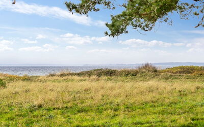 Thara - 100M from the Sea