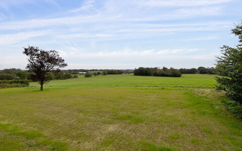 Landuin - 30Km from the Sea: Gras, Grasland, Landschap, Ecoregio, Plain, Plantengemeenschap, Land Lot, Buitenmeubels, Prairie, Shrubland