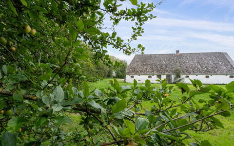 Landuin - 30Km from the Sea: Gras, Grasland, Landschap, Ecoregio, Plain, Plantengemeenschap, Land Lot, Buitenmeubels, Prairie, Shrubland