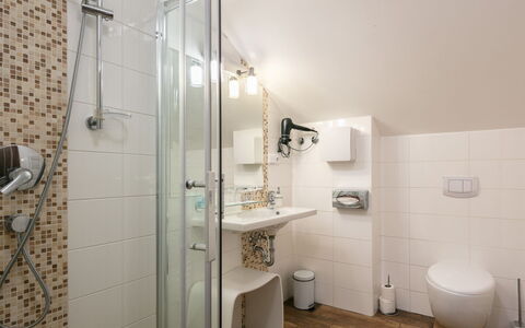 Janské Lázně 200: Loodgieterswerkinrichting, Wastafel, Spiegel, Badkamer, Interieur Ontwerp, Douche, Verdieping, Wastafel In De Badkamer, Flooring, Kraan
