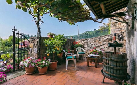 La Casa del Fale di Collodi: Bloempot, Kamerplant, De Lente, Tuin, Bloemisterij, Balkon, Binnenplaats, Bloemdessin