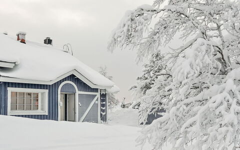 Sinitaivas: Hout, Sneeuw, Winter, Verblijf, Freezing, Huis, Blokhut, Lariks, Siding