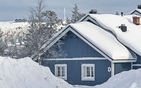 Sinitaivas: Hout, Sneeuw, Winter, Verblijf, Freezing, Huis, Blokhut, Lariks, Siding