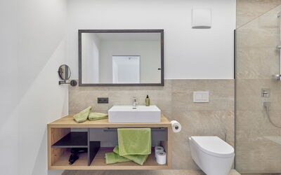 Accommodatie:&nbsp;Apart Hanna am Hannesnhof 166.2