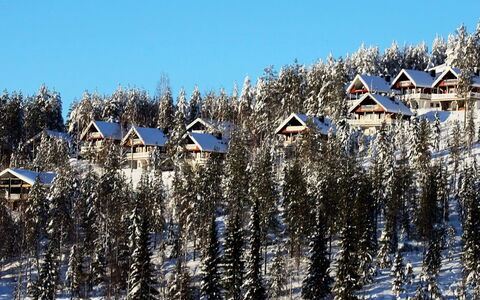 Hyrynpirtti Mökki: Hout, Verblijf, Huis, Blokhut, Timmerhout, Siding, Hardwood, Natuurlijk Materiaal, Garden Gebouwen, Hut