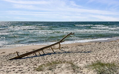 Micaela - 450M from the Sea