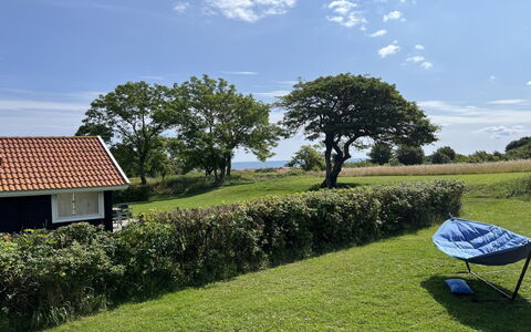 Marlies - 300M from the Sea: Gras, Grasland, Landschap, Ecoregio, Plain, Plantengemeenschap, Land Lot, Buitenmeubels, Prairie, Shrubland