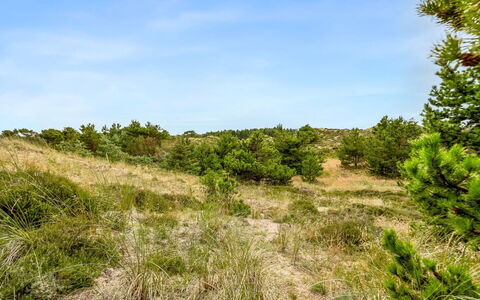Vemund - 300M from the Sea: Gras, Grasland, Land Lot, Verblijf, Landelijk Gebied, Weide, Garden Gebouwen, Tuin, Schuur