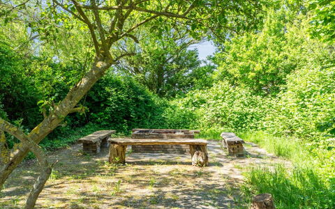 Eliane - 1.8Km from the Sea: Hout, Dak, Architectuur, Huis, Huis, Verblijf, Siding, Hardwood, Helling, Landgoed