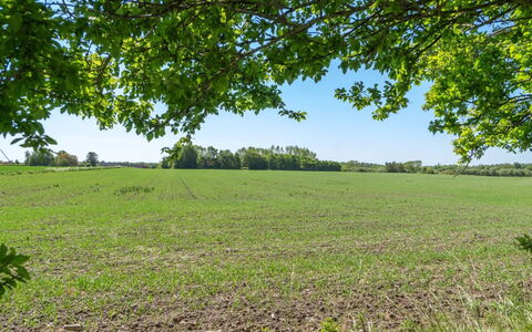 Eliane - 1.8Km from the Sea: Hout, Dak, Architectuur, Huis, Huis, Verblijf, Siding, Hardwood, Helling, Landgoed