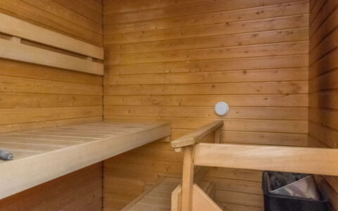 Urupää D 17: Hout, Sauna, Flooring, Verdieping, Beits, Hardwood, Plafond, Plank, Ontwerp, Multiplex