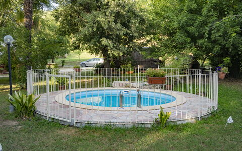 Podere Vallino: Fabriek, Boom, Water, Hek, Schaduw, Vrije Tijd, Home Schermen, Gras, Recreatie, Zwembad