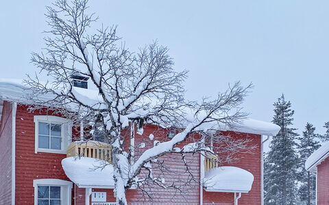 Outapailakka i 1: Hout, Sneeuw, Winter, Verblijf, Freezing, Huis, Blokhut, Lariks, Siding