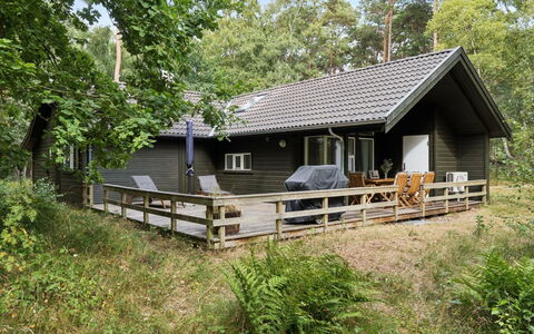 Ellynor - 600M from the Sea: Hout, Huis, Verblijf, Huis, Siding, Veranda, Garden Gebouwen, Hardwood, Blokhut, Schaduw