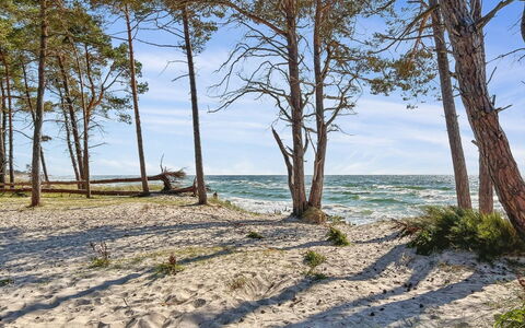 Ellynor - 600M from the Sea: Blauw, Natuurlijke Omgeving, Hout, Kust, Strand, Kust En Oceanic Landvormen, Kust, Zee, Oceaan, Zand