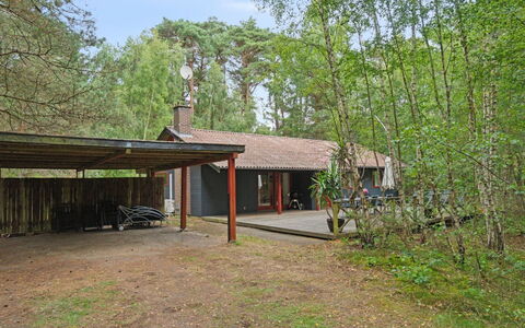 Clementine - 1.2Km from the Sea: Hout, Dak, Architectuur, Huis, Huis, Verblijf, Siding, Hardwood, Helling, Landgoed