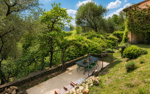 La Casa Dei Limoni, Camaiore, Pet Friendly, Wifi: Blad, Vegetation, Struik, Landelijk Gebied, Plantengemeenschap, Tuin, Land Lot, Groundcover, De Lente, Zonlicht