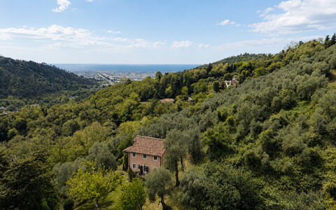 La Casa Dei Limoni, Camaiore, Pet Friendly, Wifi: Blad, Natuurlijke Omgeving, Natuur, Vegetation, Natuurlijk Landschap, Heuvel, Hoogland, Landschap, Ecoregio, Plantengemeenschap