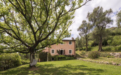 La Casa Dei Limoni, Camaiore, Pet Friendly, Wifi: Boom, Gras, Blad, Afdeling, Vegetation, Struik, Huis, Landelijk Gebied, Land Lot