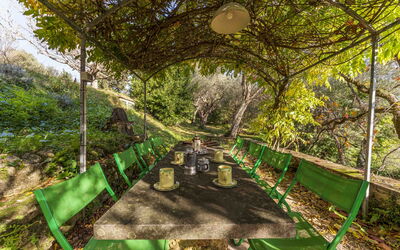 La Casa Dei Limoni, Camaiore, Pet Friendly, Wifi
