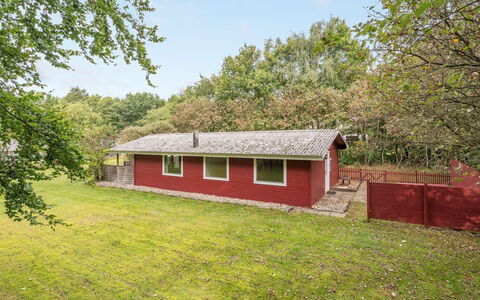 Aage: Gras, Hout, Landelijk Gebied, Struik, Verblijf, Dak, Plain, Land Lot, Huis, Groundcover