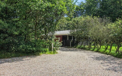 Aage: Gras, Hout, Landelijk Gebied, Struik, Verblijf, Dak, Plain, Land Lot, Huis, Groundcover