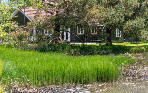 Smilla - 300M from the Sea: Meubilair, Bankstel, Interieur Ontwerp, Flooring, Woonkamer, Verdieping, Kussen Gooien, Kamer, Hoofdkussen