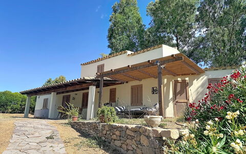 Eucalipto: Huis, Huis, Verblijf, Boerderij, Schaduw, Landgoed, Tuin, Hacienda, Backyard, Werf
