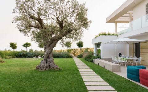 Splendida - Modica, Sicilia: Fabriek, Lucht, Groen, Gebouw, Boom, Land Lot, Schaduw, Stedelijk Ontwerp, Gras, Huis