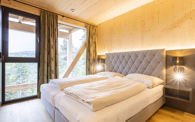 Accommodatie:&nbsp;Superior #23 with Sauna & Hot Tub 160.30