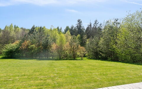 Tian: Groen, Boom, Gras, Struik, Land Lot, Plain, Tuin, Weide, De Lente