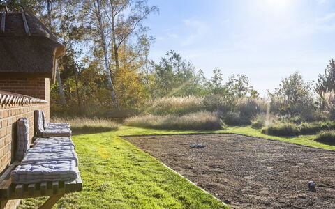 Krok - 1.2Km from the Sea: Gras, Grasland, Struik, Landschap, Land Lot, Plain, Tuin, Landelijk Gebied, Groundcover