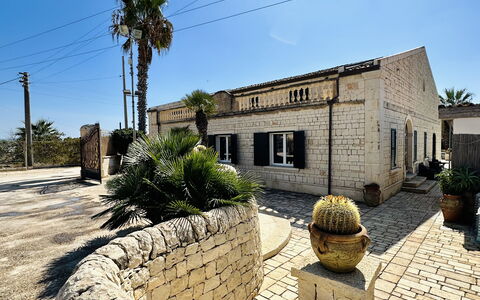 Villa Rosarno: Lucht, Fabriek, Venster, Boom, Biome, Landschap, Beeldhouwwerk, Kunst, Gras